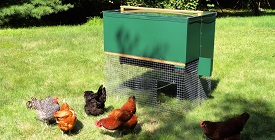 Halflap Henhouse Portable Chicken Coop with Chickens